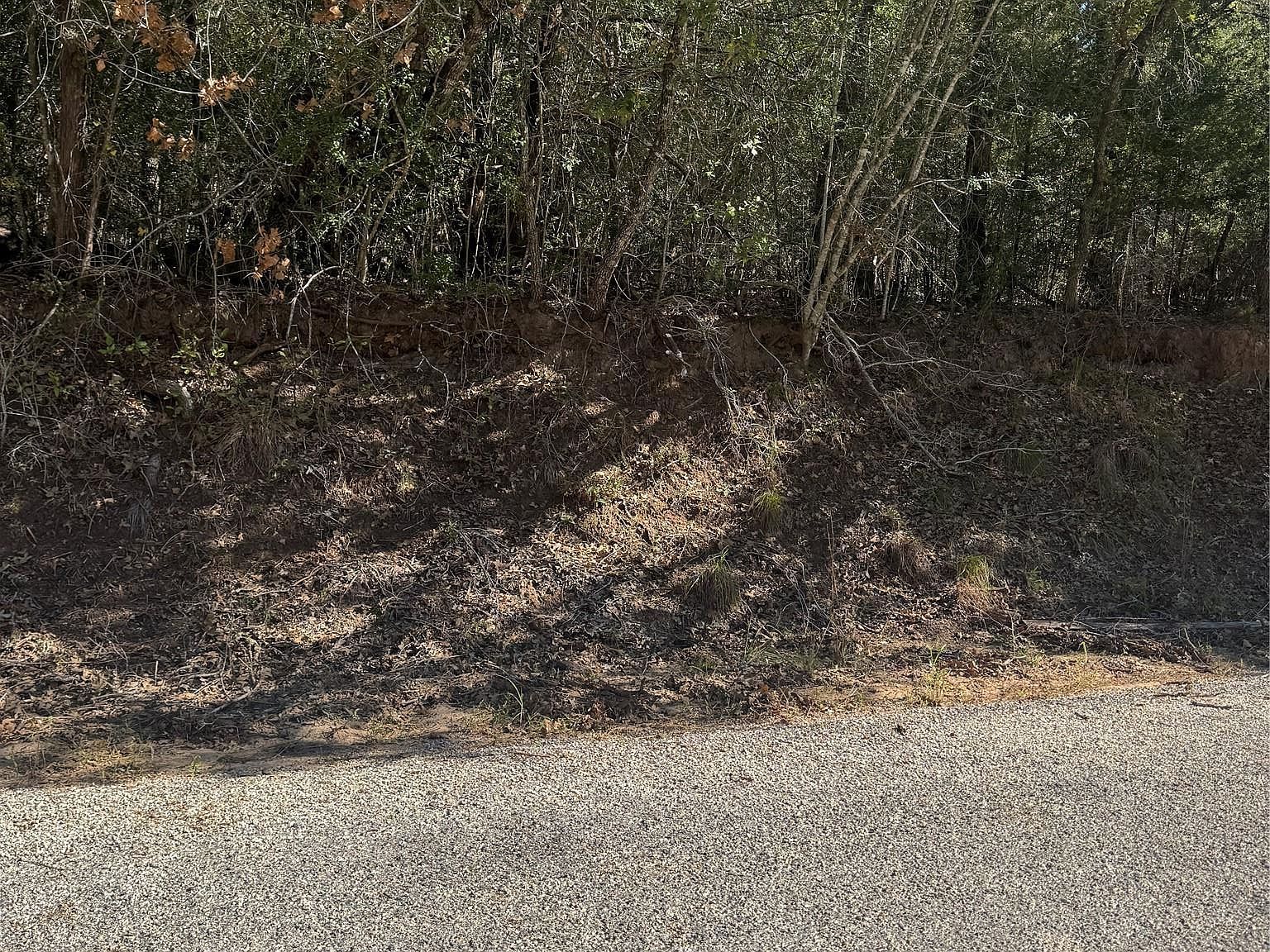 195 Kaelepulu Dr Bastrop, TX 78602 - Thumbnail 3