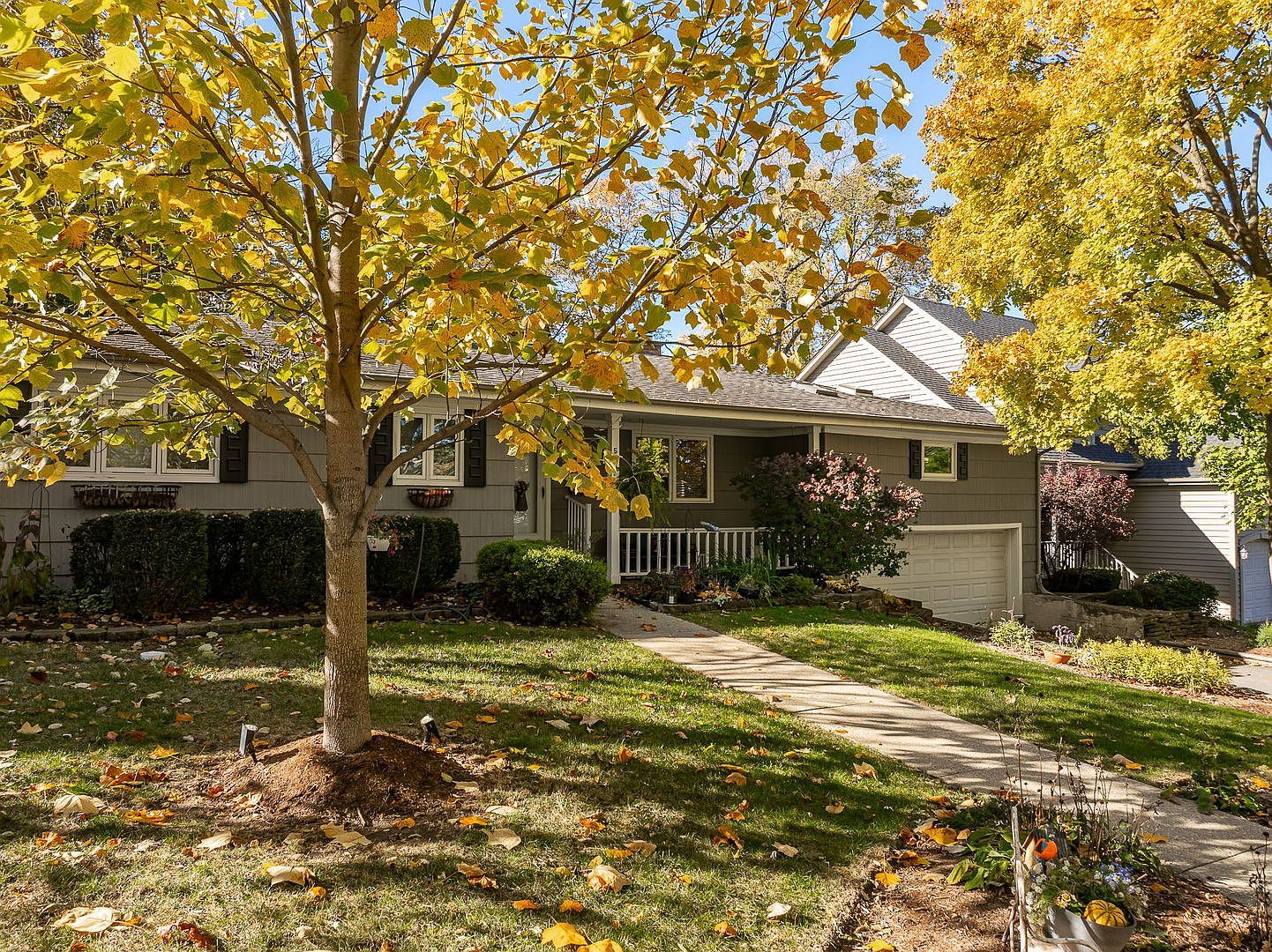 5252 Fairmount Ave Downers Grove, IL 60515 - Thumbnail 3