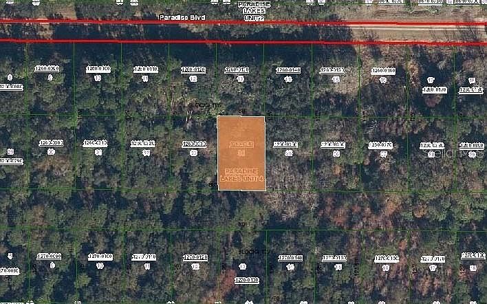 324 E Edgewood Dr #34 Georgetown, FL 32139 - Thumbnail 3