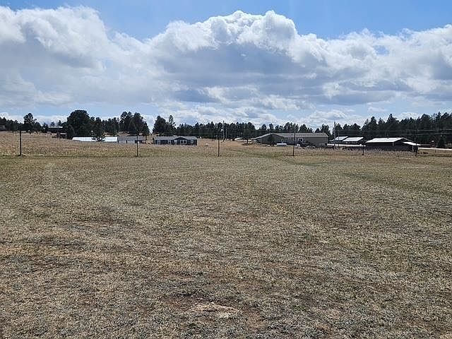 Tbd Sidney Park Rd Custer, SD 57730 - Thumbnail 3