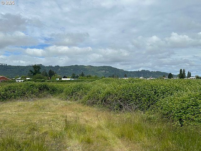 1 Springer St #4 Cathlamet, WA 98612 - Thumbnail 3