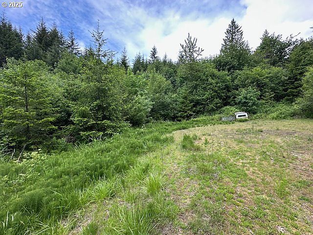 257 Serenity Ln Kalama, WA 98625 - Thumbnail 3