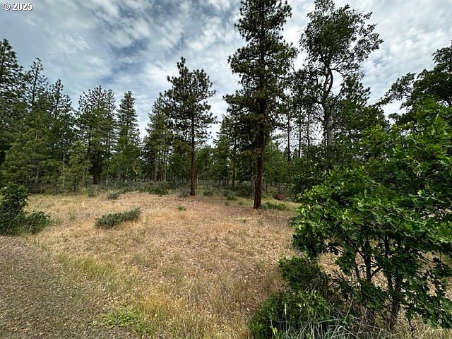 71 Teal Dr Goldendale, WA 98620 - Thumbnail 3