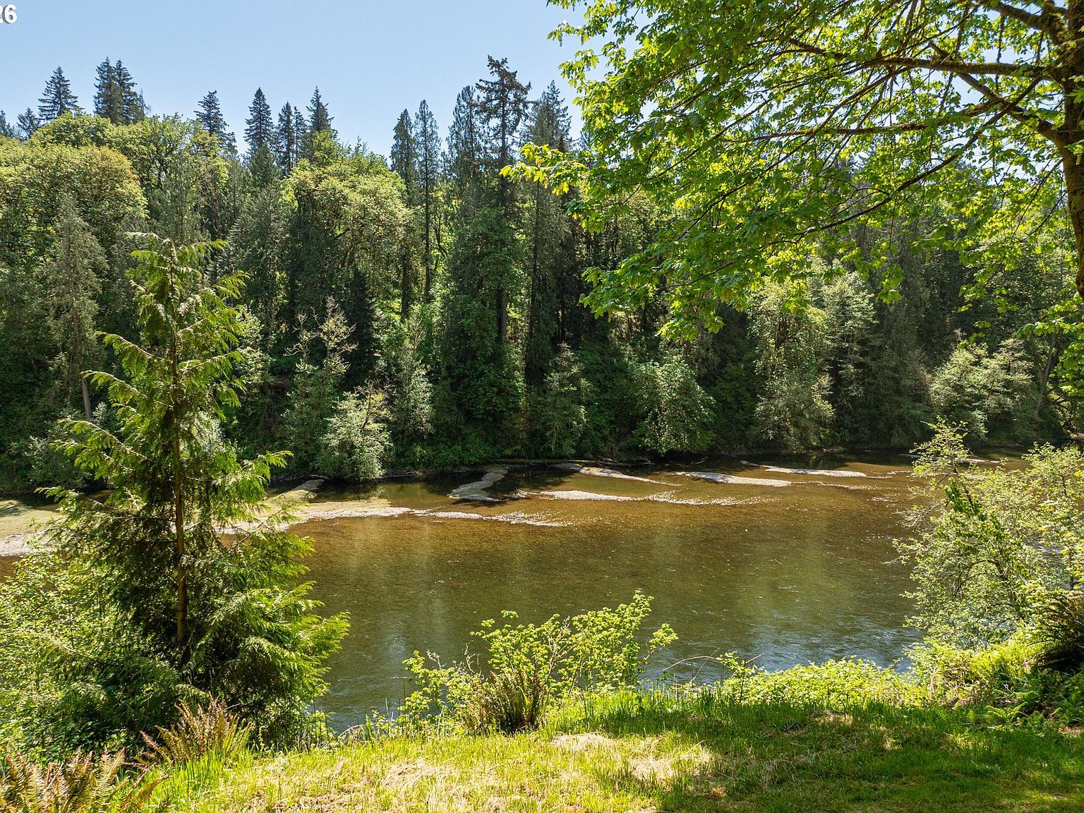 209 Blaine Rd Woodland, WA 98674 - Thumbnail 3