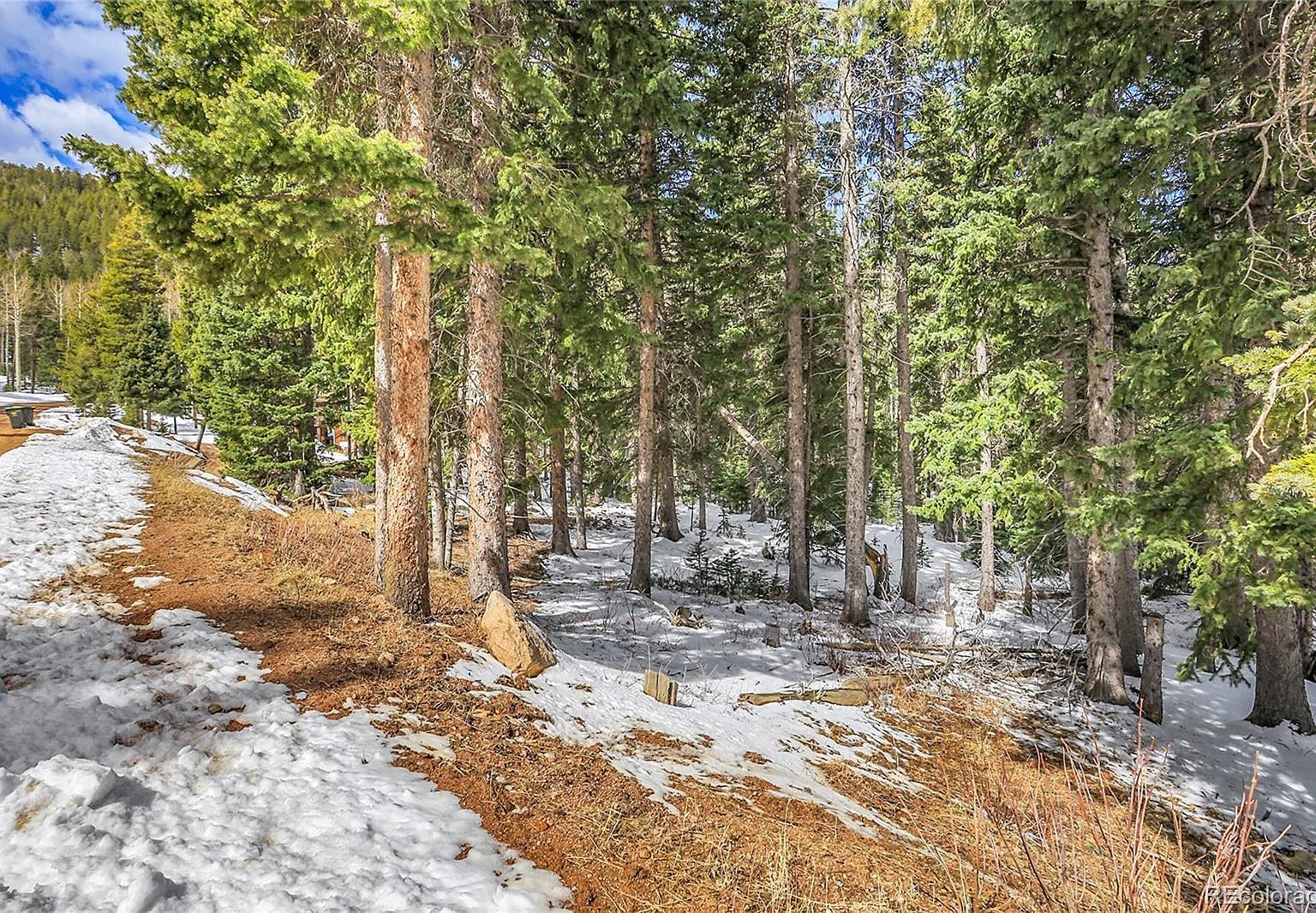 10549 Christopher Dr #36 Conifer, CO 80433 - Thumbnail 3