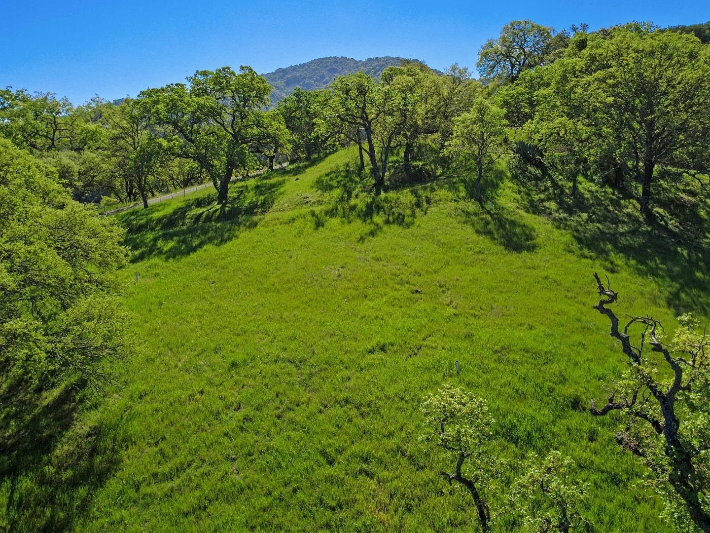 17556 Chesbro Lake Dr Morgan Hill, CA 95037 - Thumbnail 3