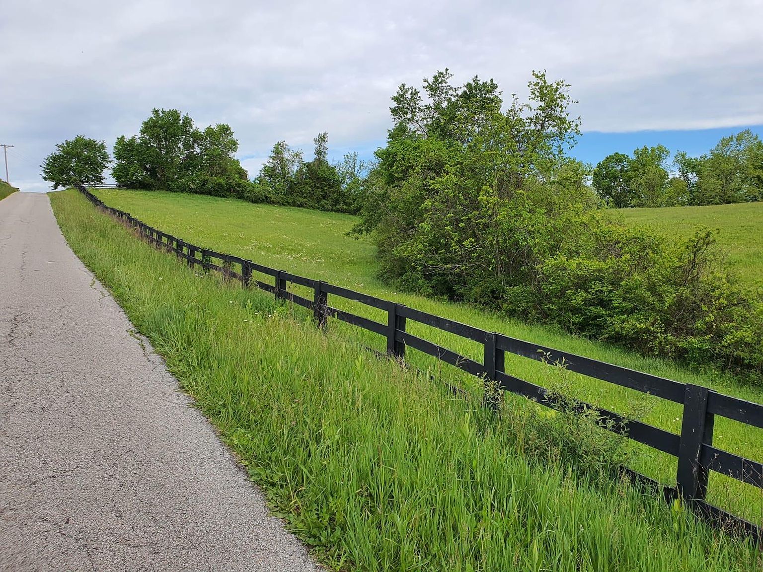 161 Central Pike Harrodsburg, KY 40330 - Thumbnail 3