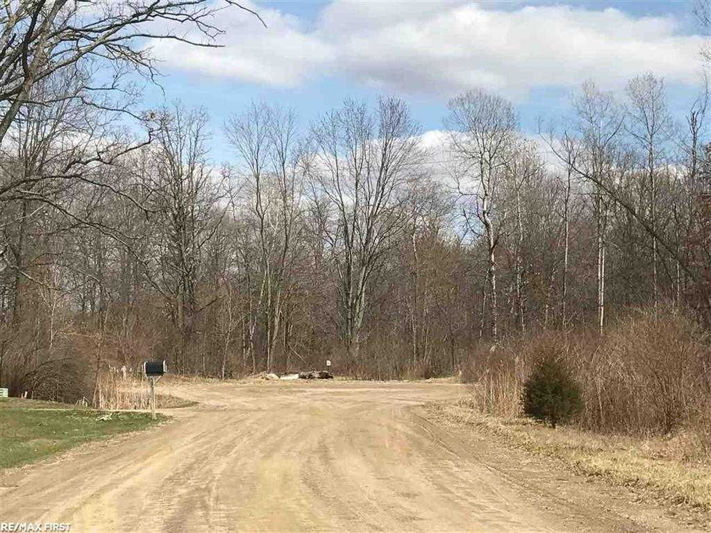 657 Donna Mae Lane, Township of Addison, MI, USA, 48367  | Land/Lot