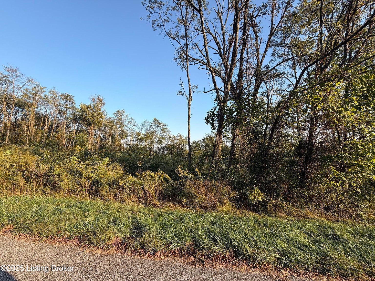 28 Freesia Ct Brandenburg, KY 40108 - Thumbnail 3