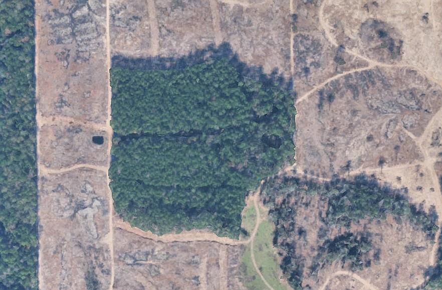 Morgan Cemetary Rd Cleveland, TX 77328 - Thumbnail 3