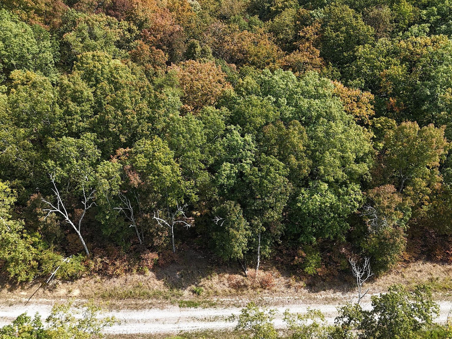 LOT 95 Sandstone Point Trl Monticello, KY 42633 - Thumbnail 3