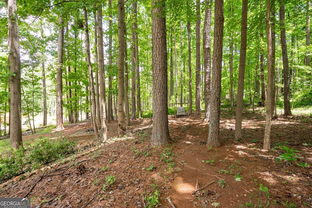 325 Harris Loop Dallas, GA 30157 - Thumbnail 3