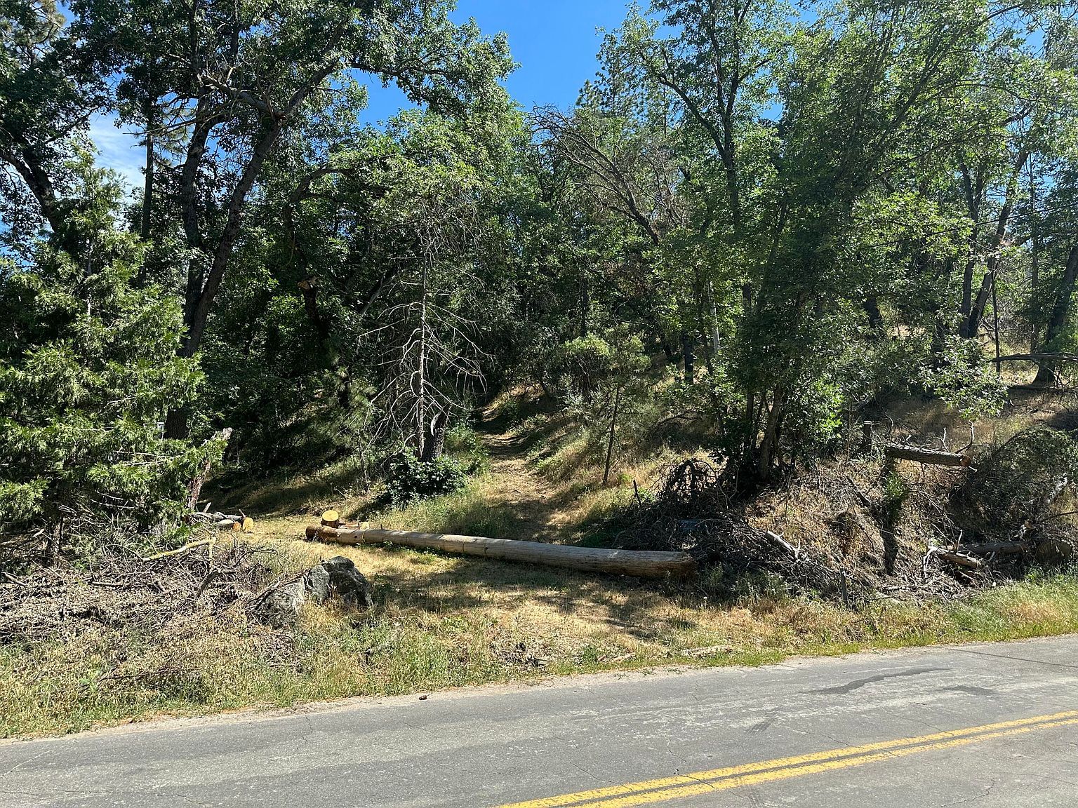 LOT 7 Pine Flat Dr California Hot Springs, CA 93207 - Thumbnail 3