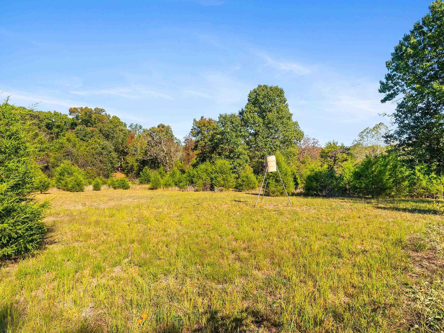 TRACT 1 County Road 144 Oakland, AR 72661 - Thumbnail 3