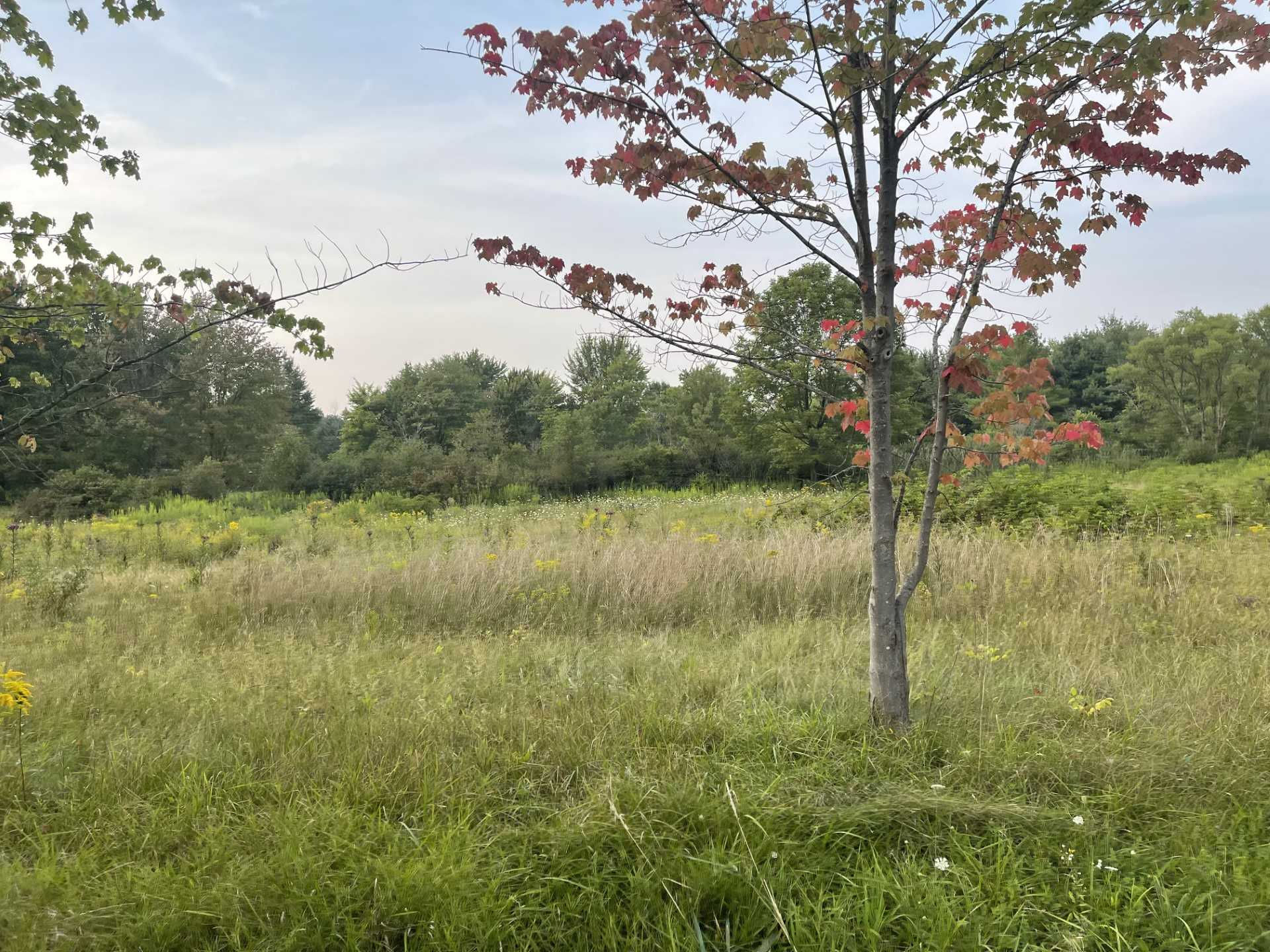 VL Ward Drive, Chesterland, OH, 44026 - Thumbnail 4