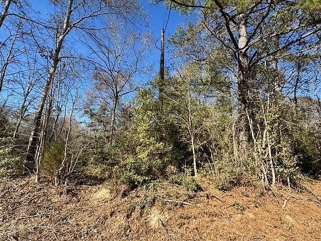 Tbd Lee Turner Rd Cleveland, TX 77328 - Thumbnail 3