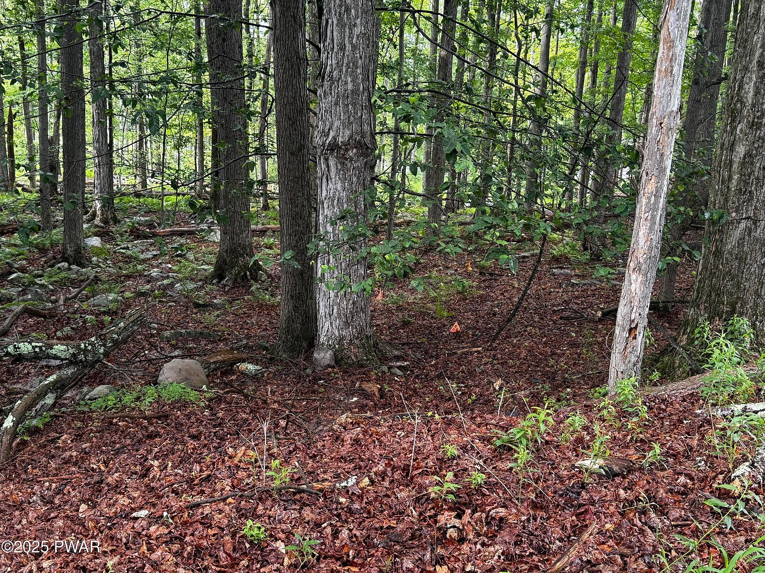 101 Elm Ln Greentown, PA 18426 - Thumbnail 3