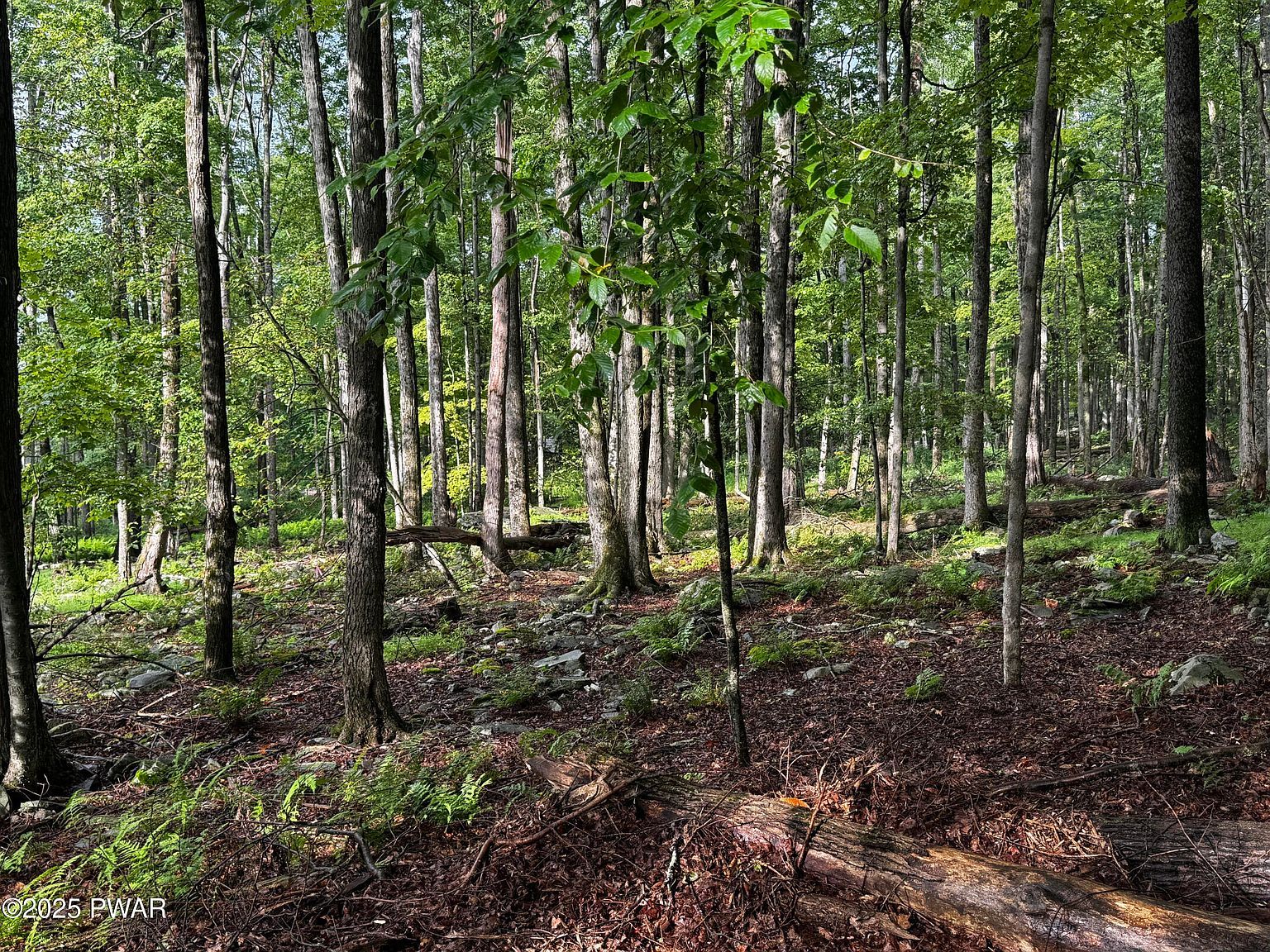 103 Elm Ln Greentown, PA 18426 - Thumbnail 3