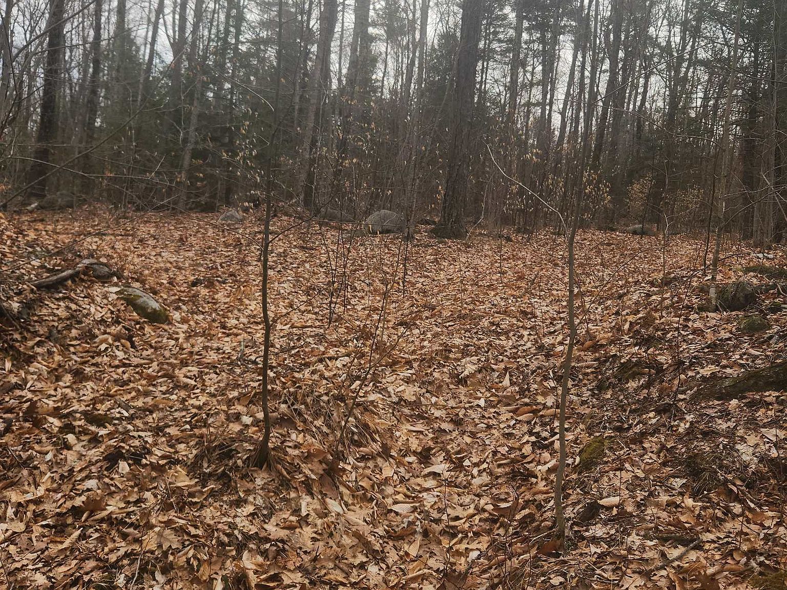 0 Attleboro Mountain Rd #23 & 26 Winchester, NH 03470  | Land/Lot