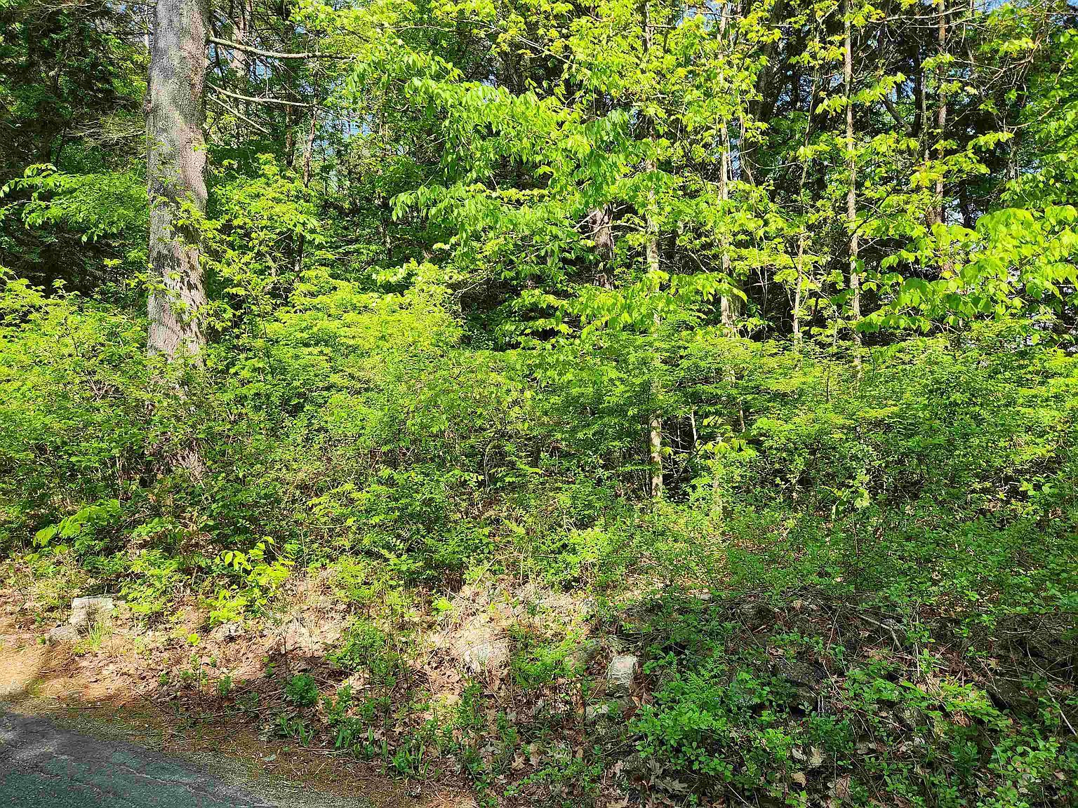 0 Cobble Hill Rd Swanzey, NH 03446 - Thumbnail 3