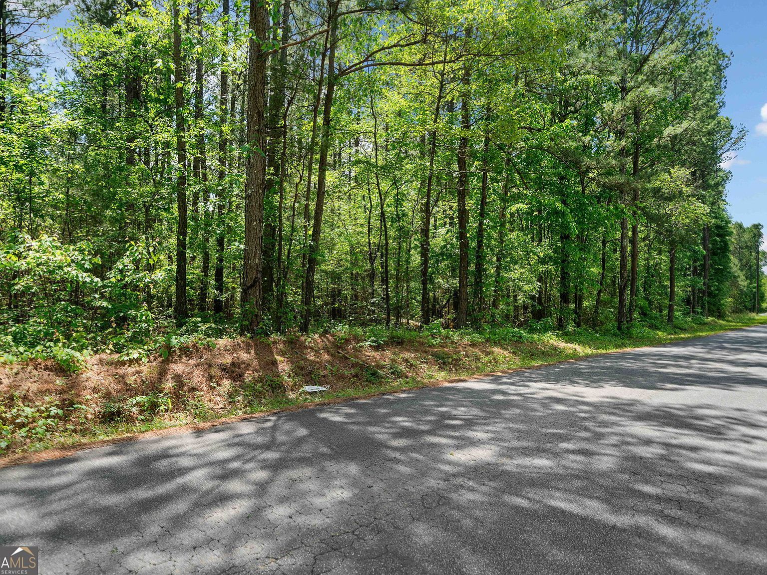 0 Timberwood Rd NW #6 White, GA 30184 - Thumbnail 3