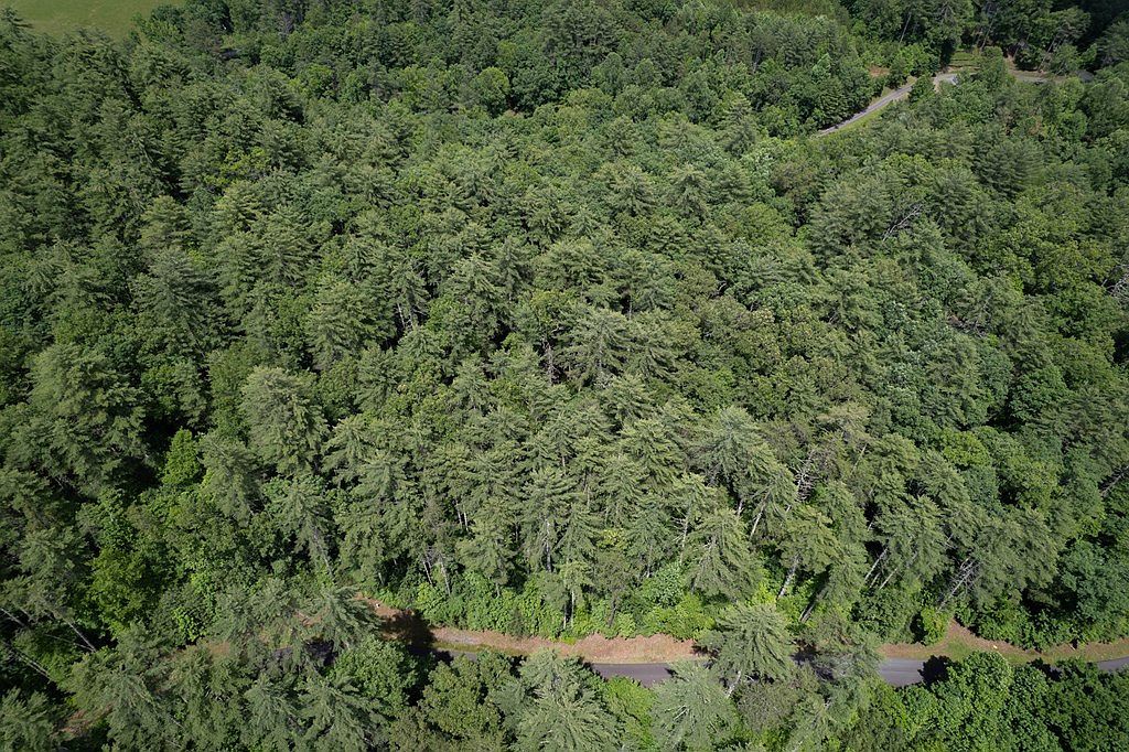 Spectacular Blvd Hayesville, NC 28904 - Thumbnail 3