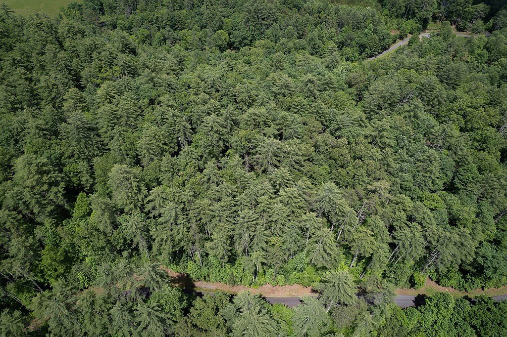 Spectacular Blvd Lot 11 Hayesville, NC 28904 - Thumbnail 3
