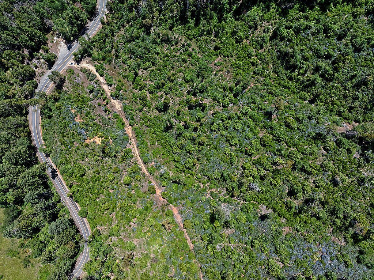 0 Lower Wolf Creek Rd #400 Wolf Creek, OR 97497 - Thumbnail 3