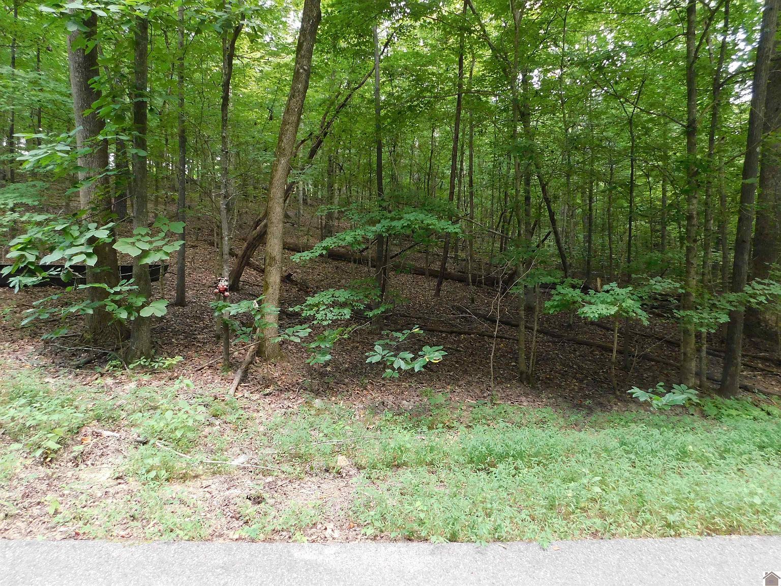 Champion Hills Lots 81 #82-83 Kuttawa, KY 42055 - Thumbnail 3