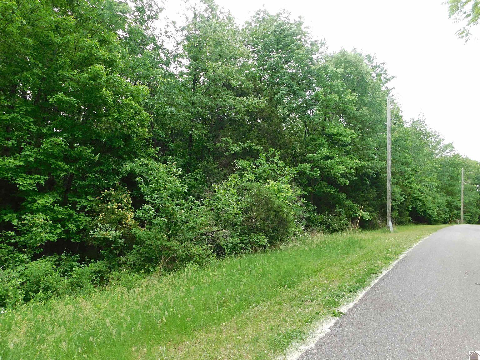 Lots 63 64 65 Arrowhead Acres Princeton, KY 42445 - Thumbnail 3