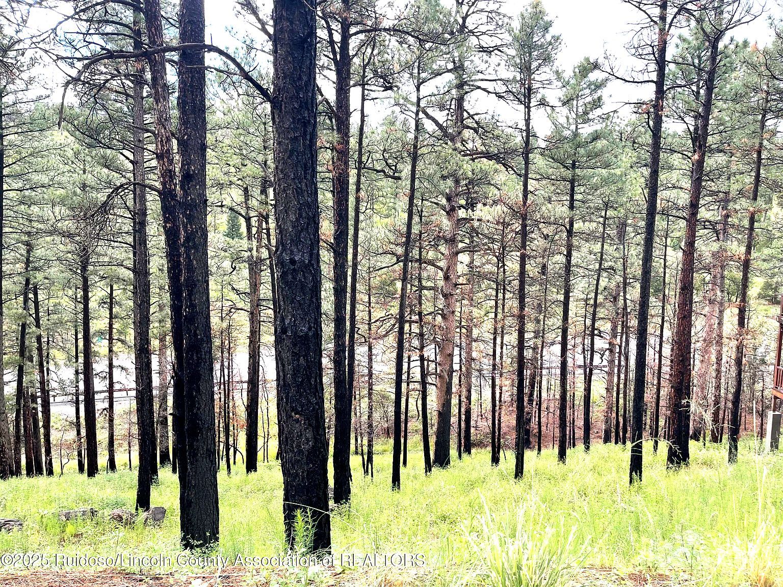 LOT 12 Brentwood Dr Alto, NM 88312 - Thumbnail 3