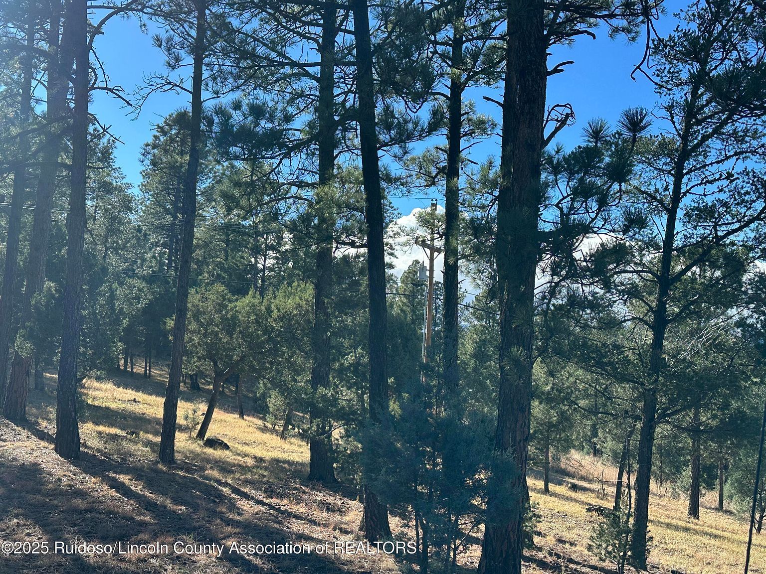 152 Del Monte Dr Alto, NM 88312 - Thumbnail 3