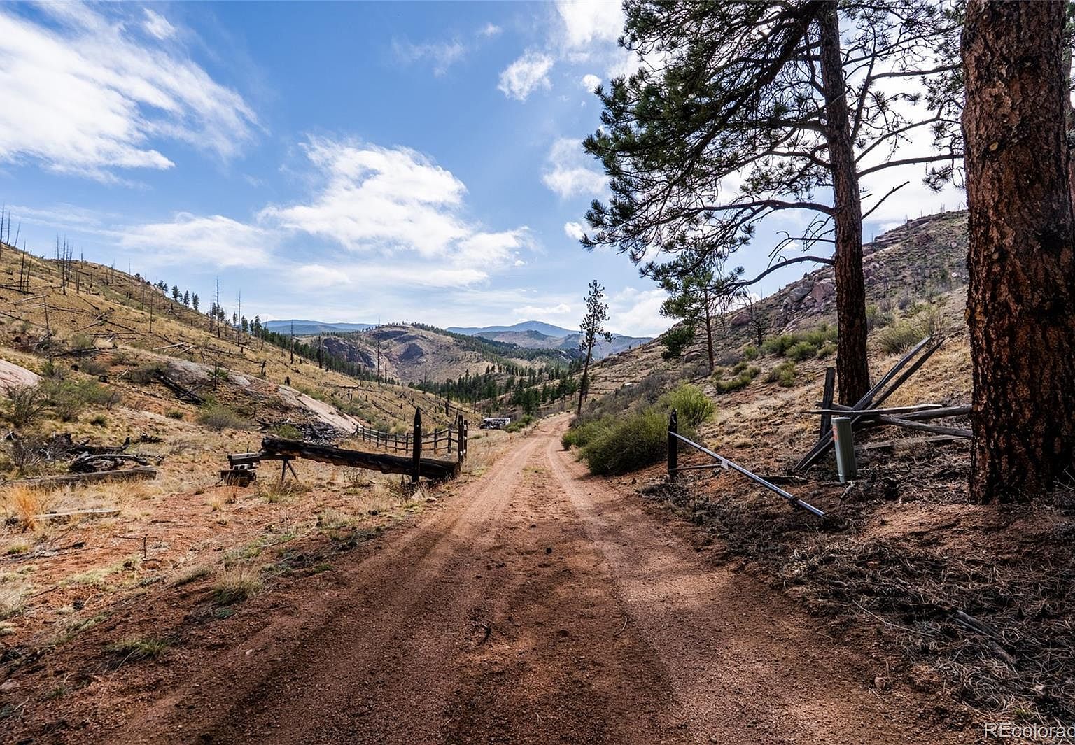 16280 Cochise Trl Pine, CO 80470 - Thumbnail 3