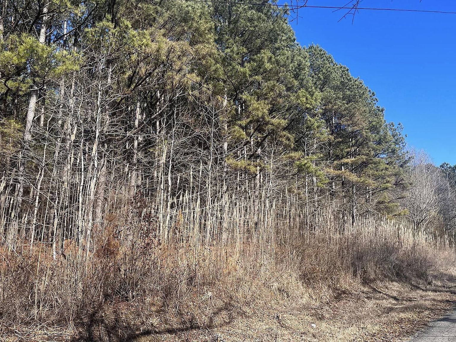 0 Highway 78 Loop Jasper, AL 35501 - Thumbnail 3