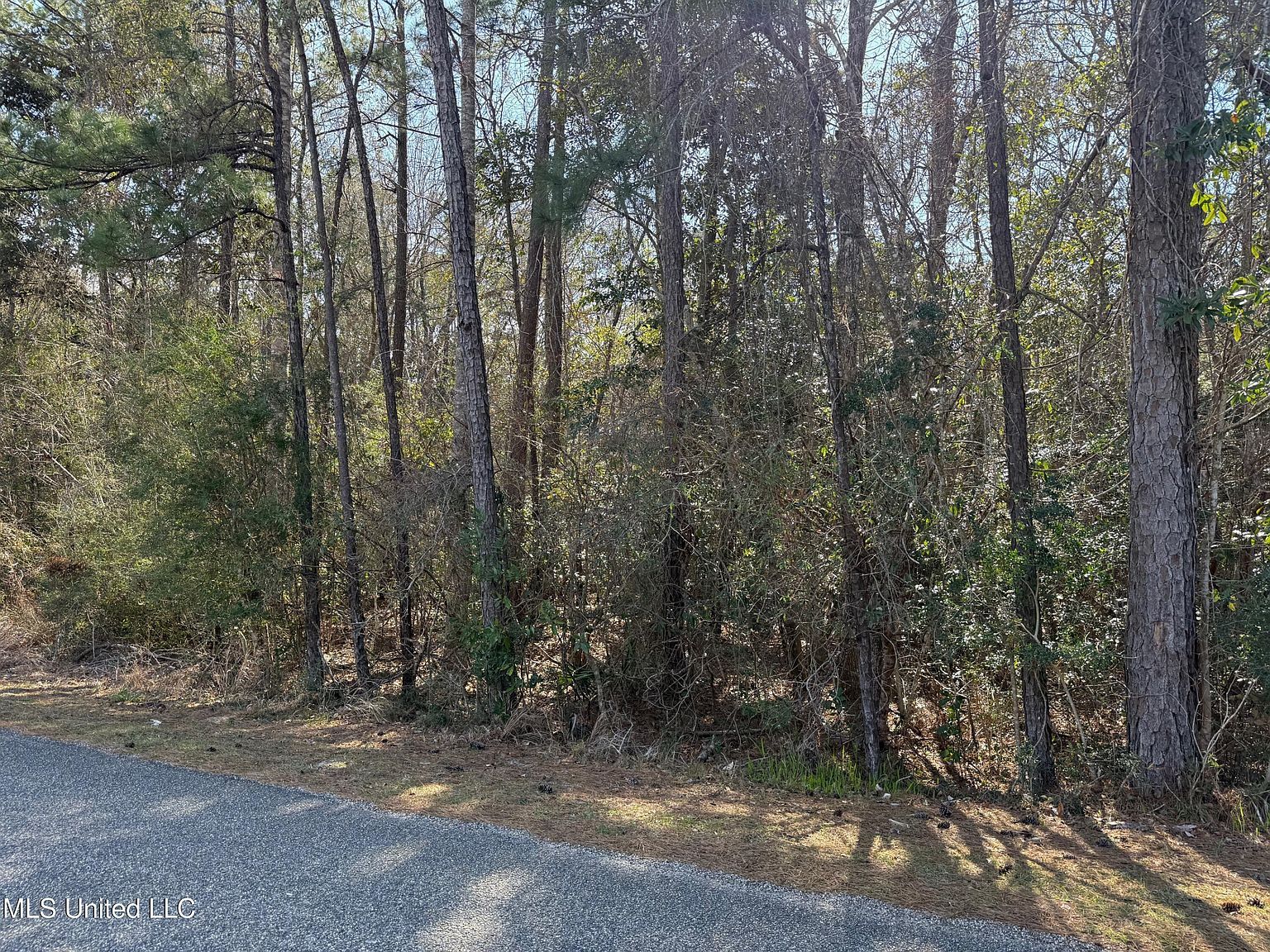 94167 Bayou Dr #8 Diamondhead, MS 39525  | Land/Lot