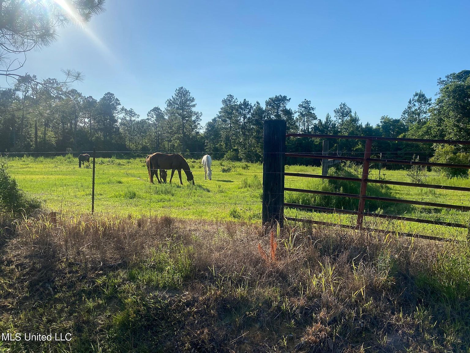 W Dubuisson Rd Pass Christian, MS 39571 - Thumbnail 3