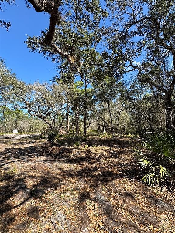 Shore Dr Lot 28 Lake Wales, FL 33898 - Thumbnail 3