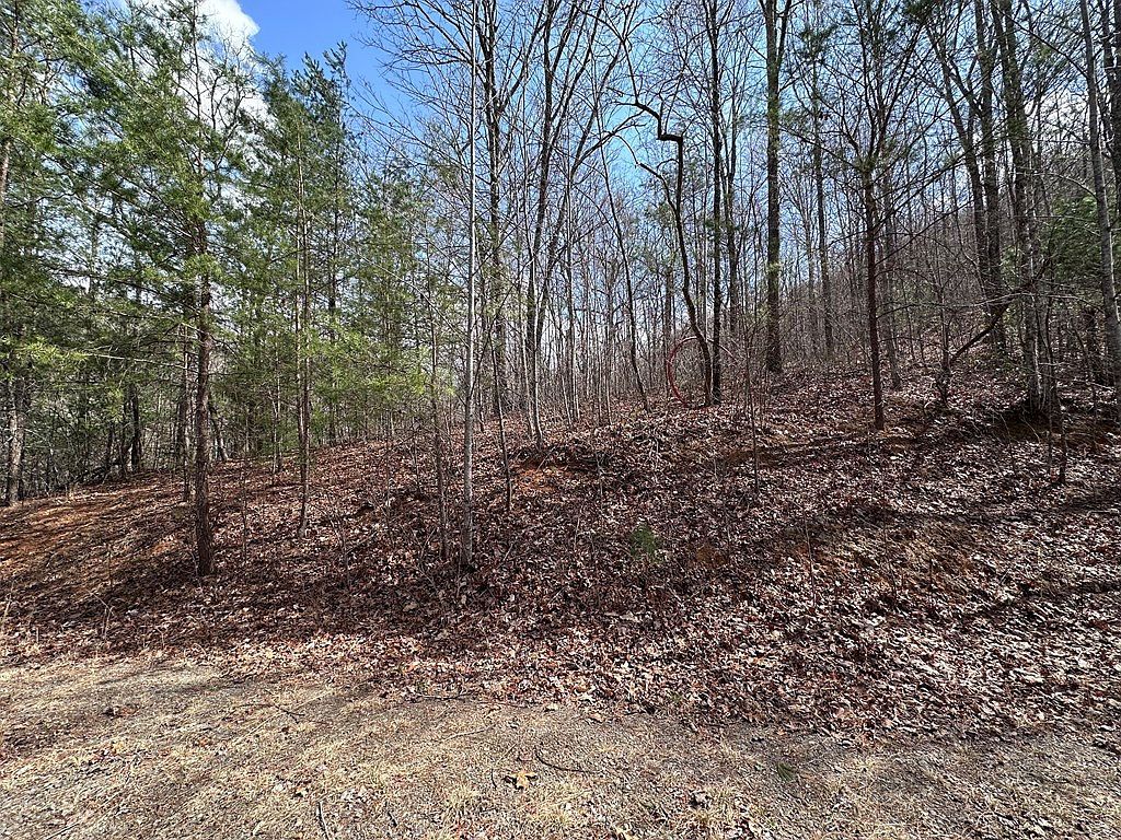 Tbd Pack Mountain Road Murphy, NC 28906 - Thumbnail 3