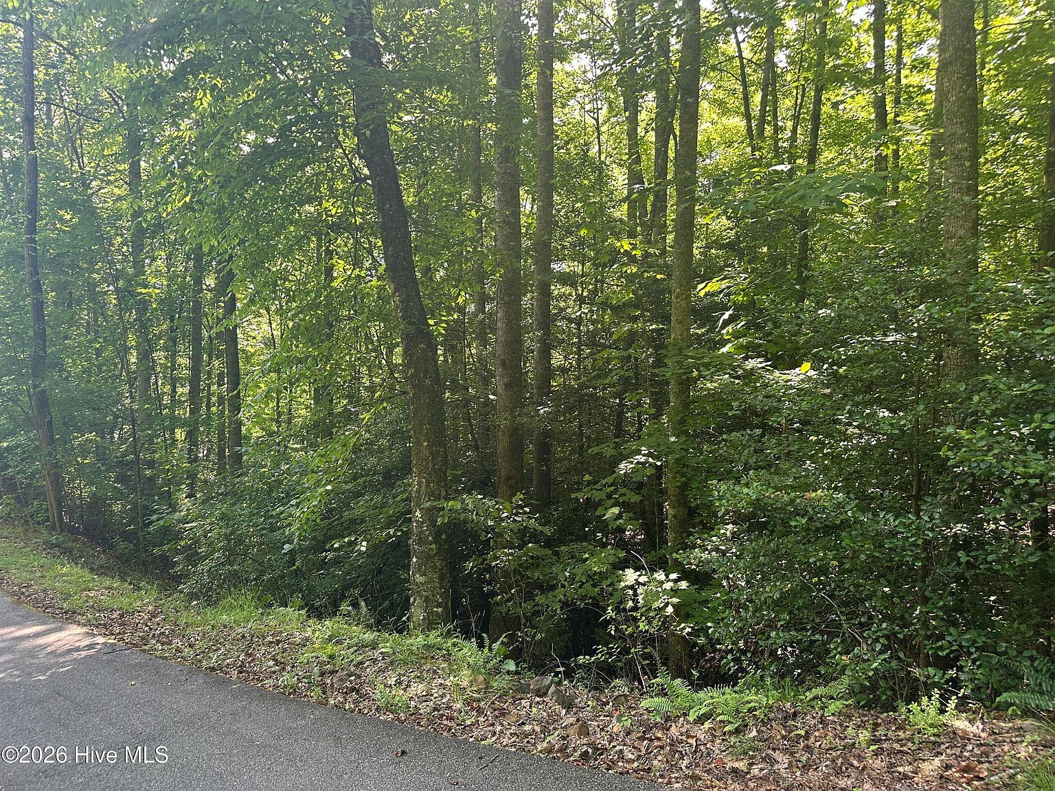 6 Bartram Trail Road Franklin, NC 28734 - Thumbnail 3