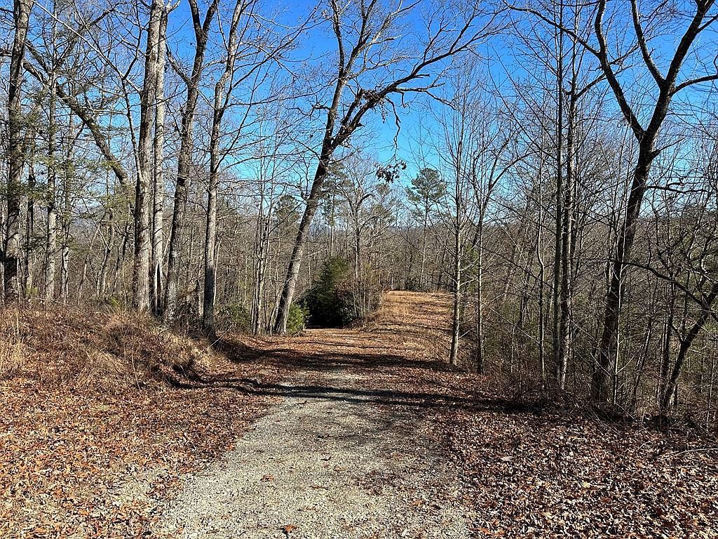 (Undisclosed Address) Marble, NC 28905 - Thumbnail 3