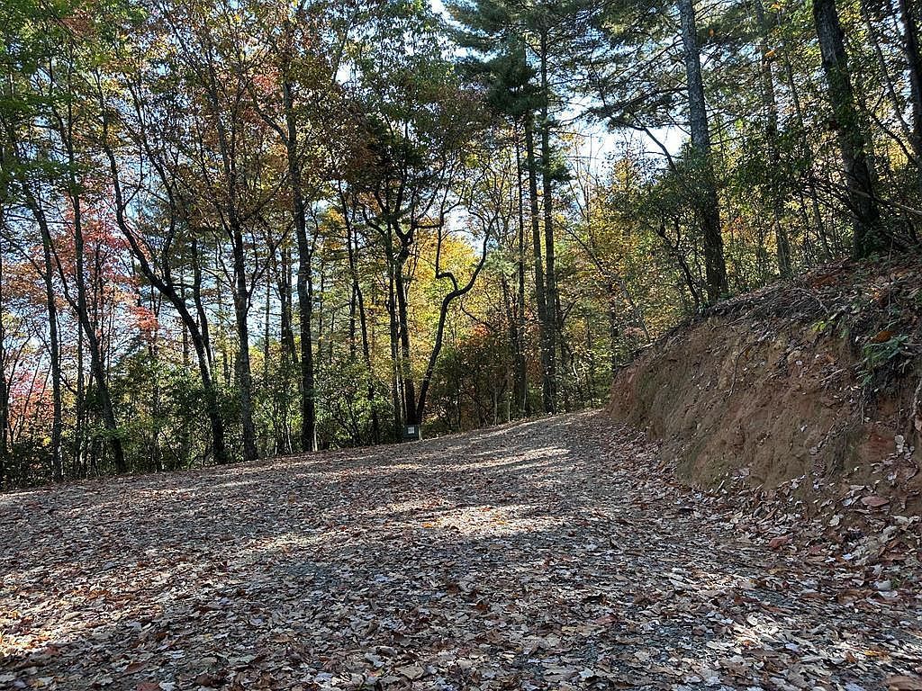 Atoah Loop Murphy, NC 28906 - Thumbnail 3