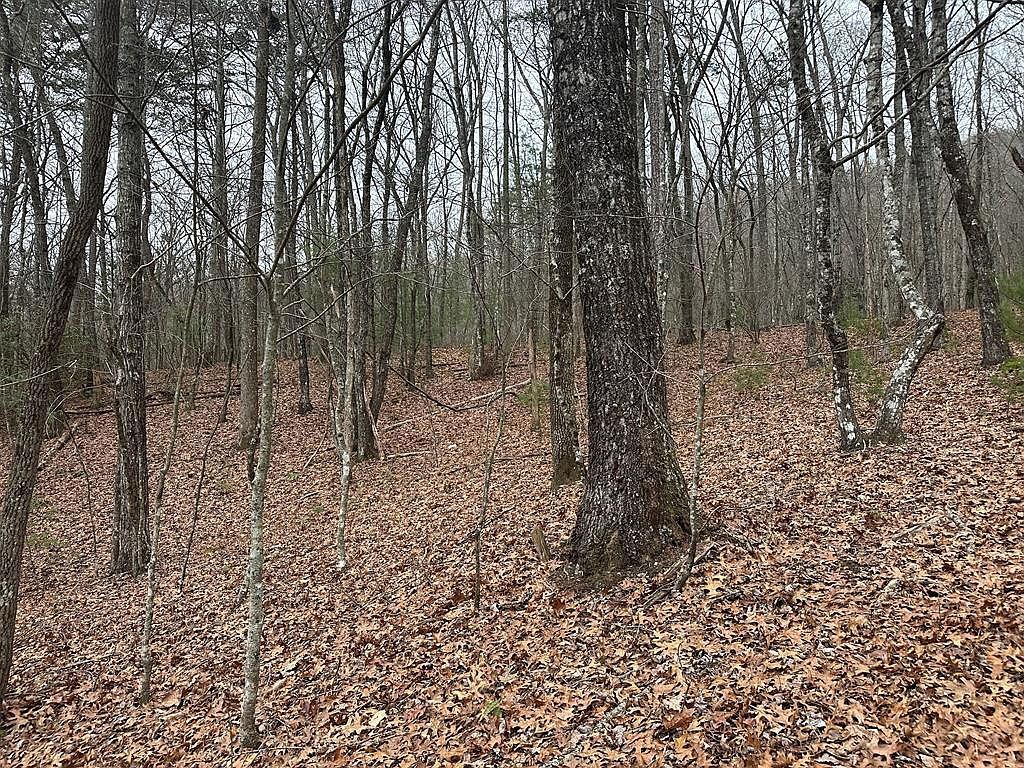 00 Marrestop Murphy, NC 28906 - Thumbnail 3