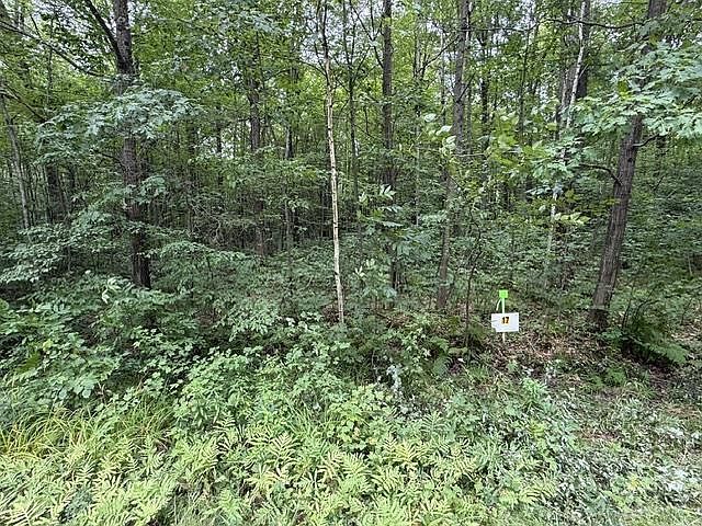 17 Burma Rd Mosinee, WI 54455 - Thumbnail 3