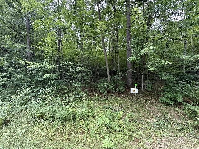 16 Burma Rd Mosinee, WI 54455 - Thumbnail 3