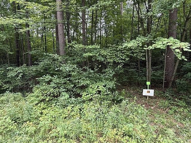 15 Burma Rd Mosinee, WI 54455 - Thumbnail 3