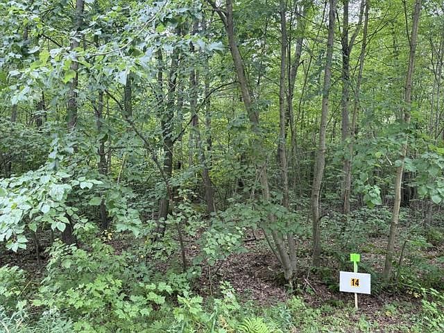 14 Burma Rd Mosinee, WI 54455 - Thumbnail 3