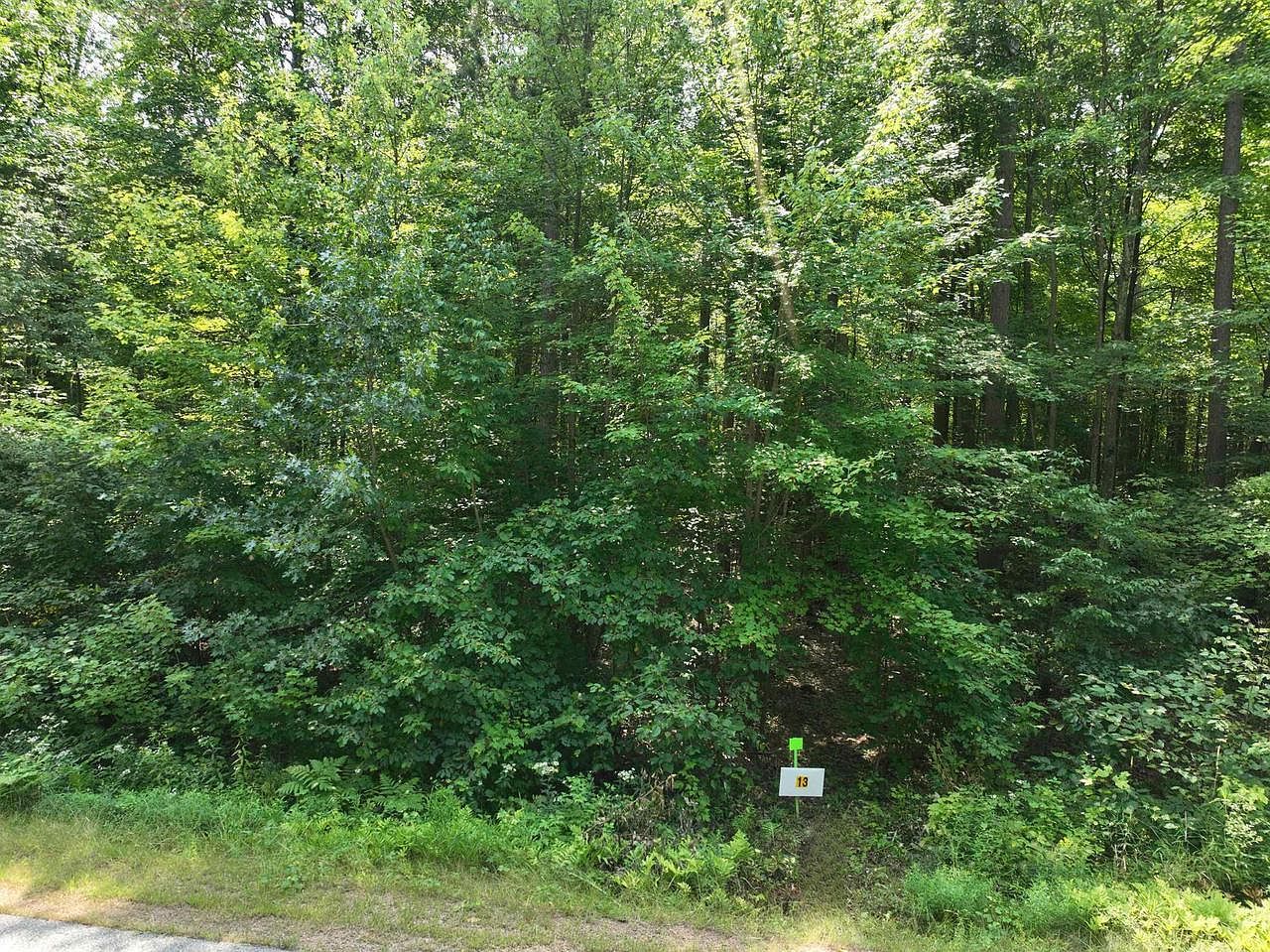 13 Burma Rd Mosinee, WI 54455 - Thumbnail 3
