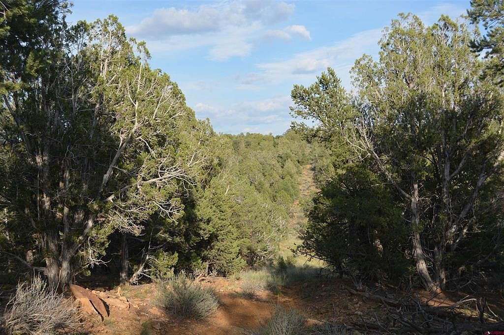 County Road 109 Hesperus, CO 81326 - Thumbnail 3