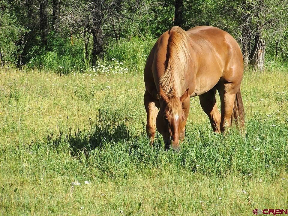 28960 County Road 38 Dolores, CO 81323 - Thumbnail 3