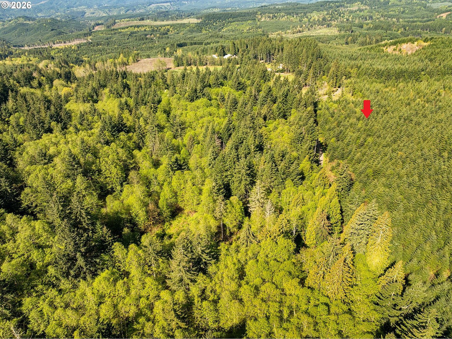 0 NW Hidden Mountain Dr Banks, OR 97106 - Thumbnail 3